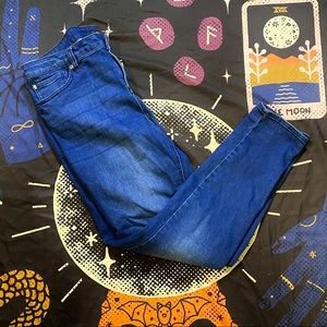 Blackheart Indigo Skinny Jean Size 17